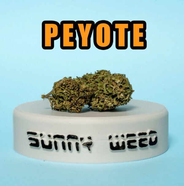 Peyote