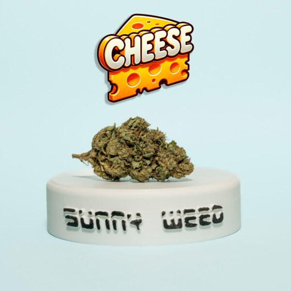 Cheese