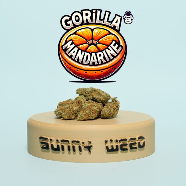 Gorilla Mandarine