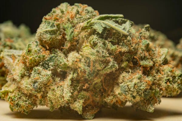 Super Lemon Haze - immagine 2