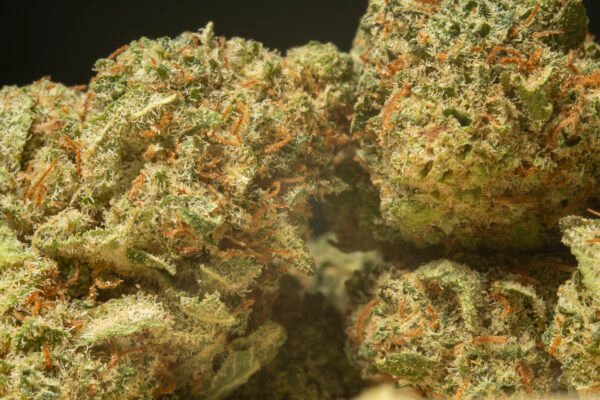 Super Lemon Haze - immagine 3