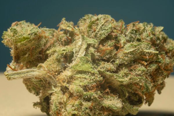 Super Lemon Haze - immagine 4