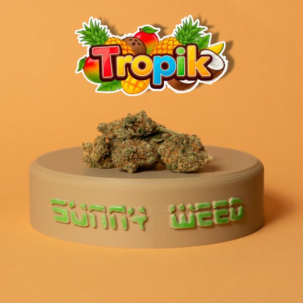 Tropik