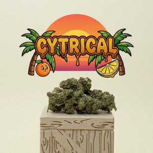 Cytrical Kush
